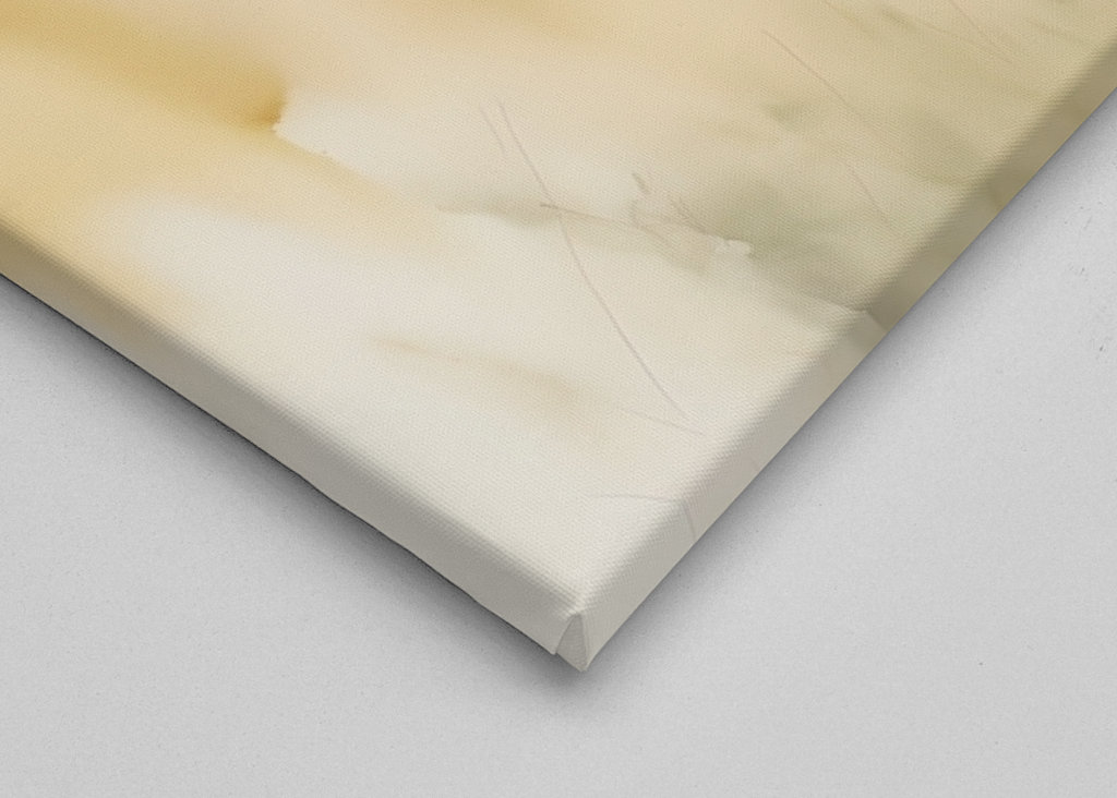 Portrait of a cheetah