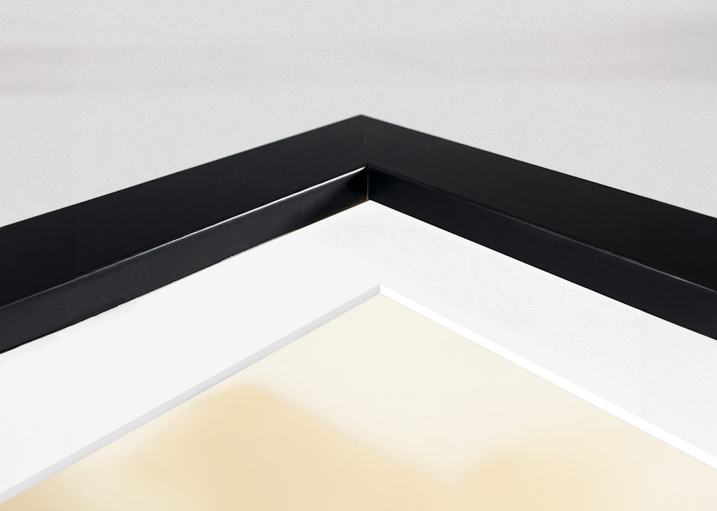 Portrait of a cheetah