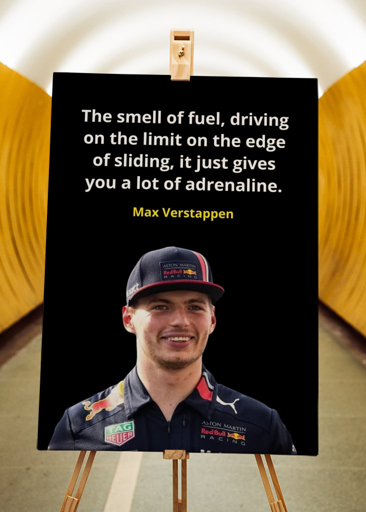 Max Verstappen Quotes