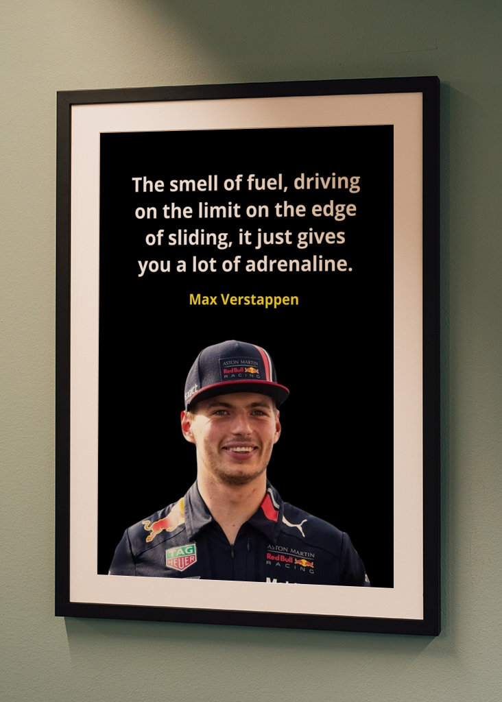Max Verstappen Quotes