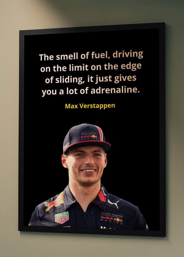 Max Verstappen Quotes