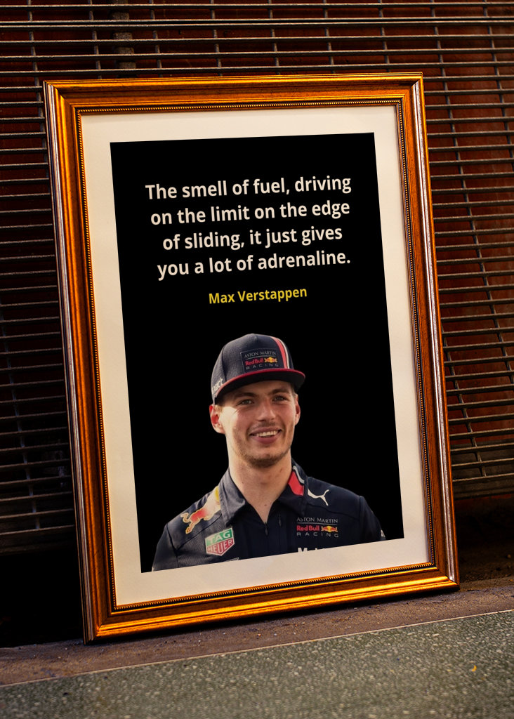 Max Verstappen Quotes