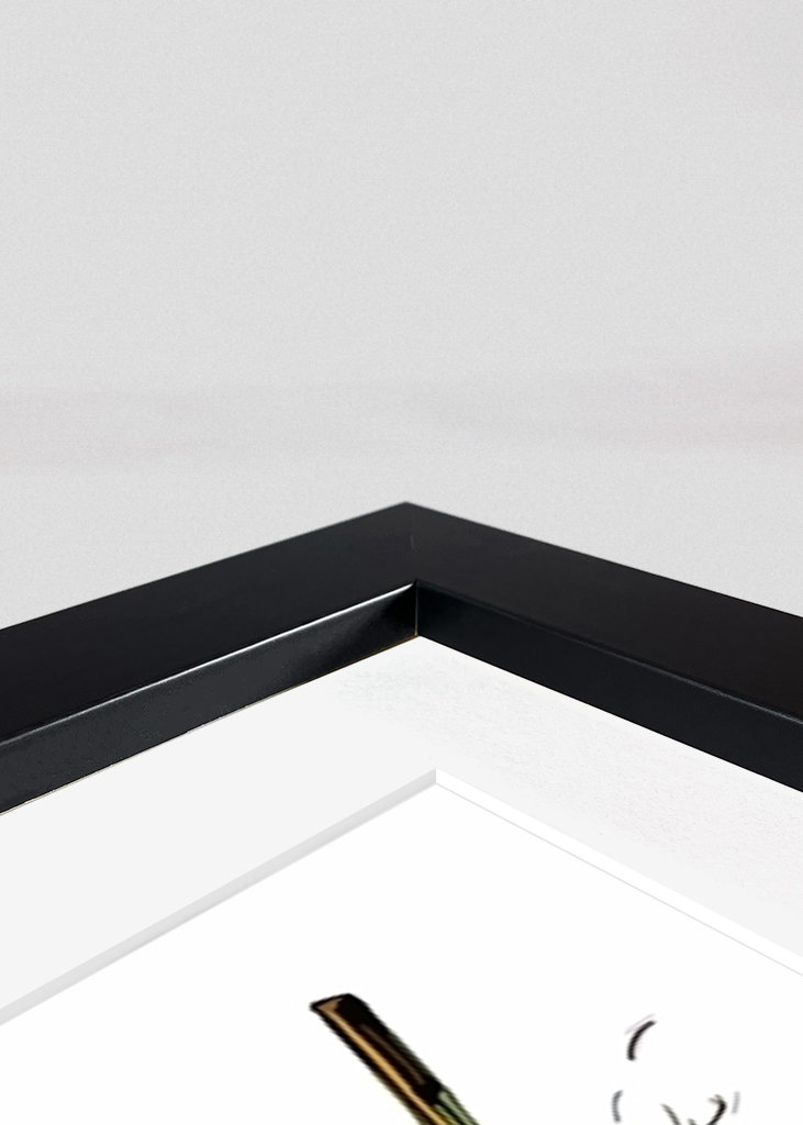 Metal Gear Solid Snake