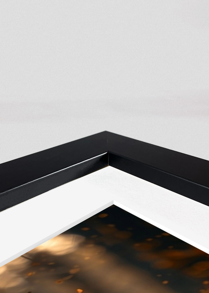 Majesty Unleashed: The Forest