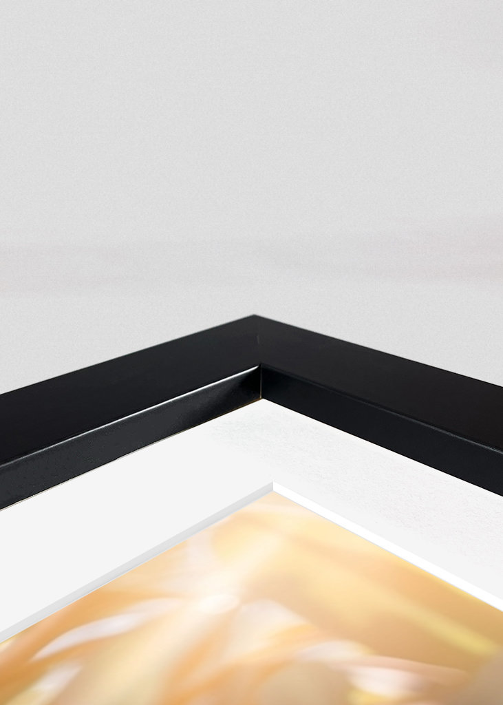 A Peacock's Portrait