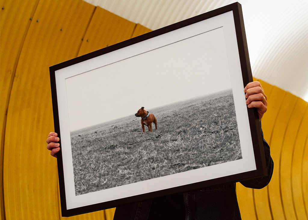 somewhere in nowhere