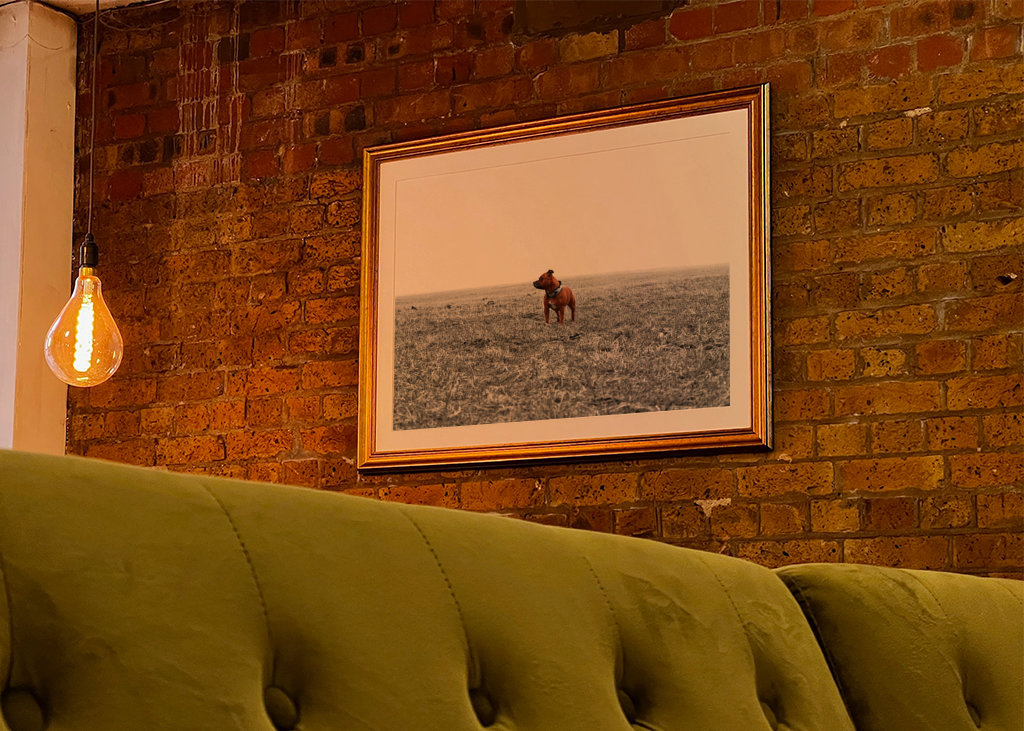 somewhere in nowhere