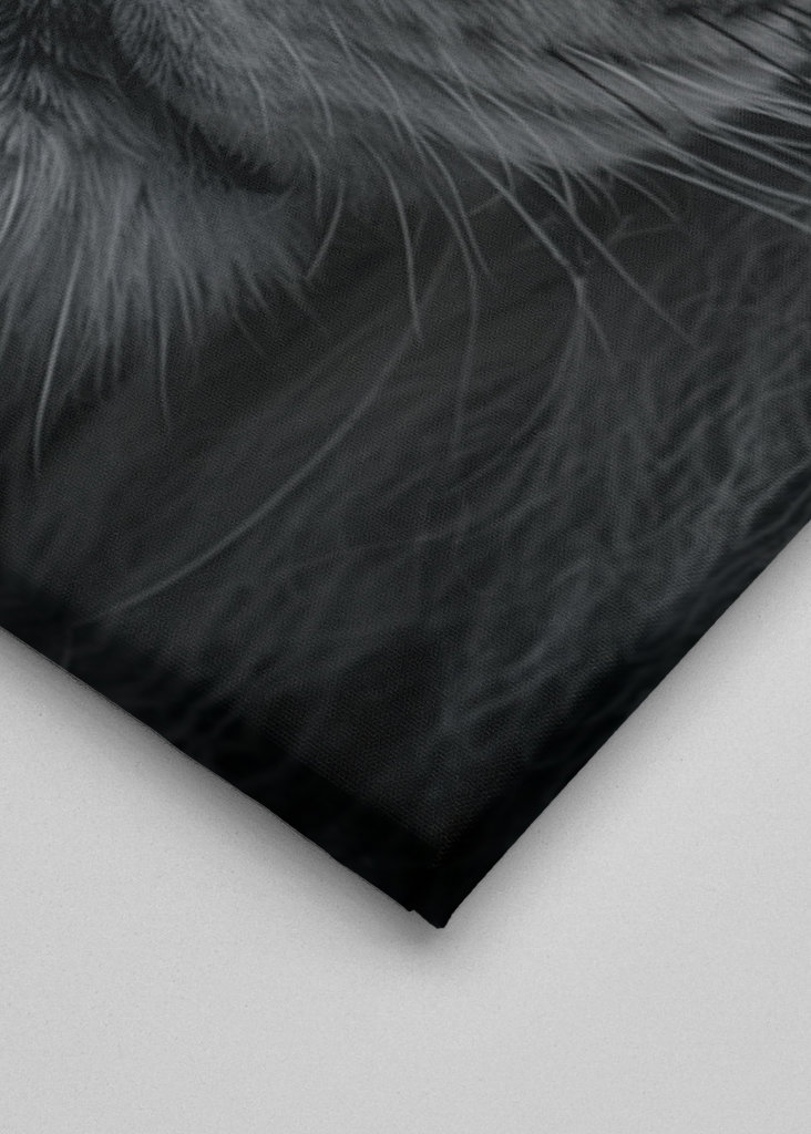 Mentalidad, Motivación 