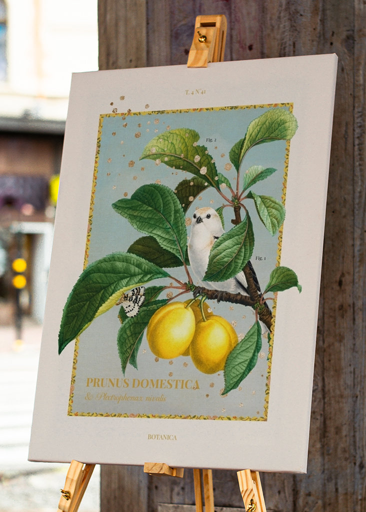 Botanica - yellow plum