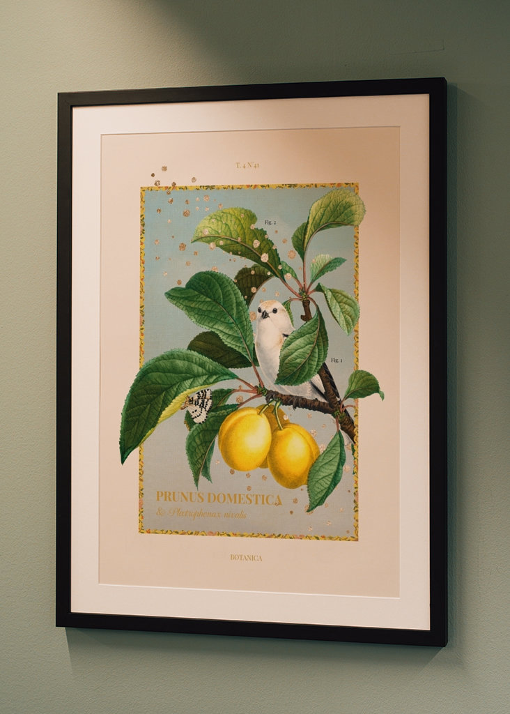 Botanica - yellow plum