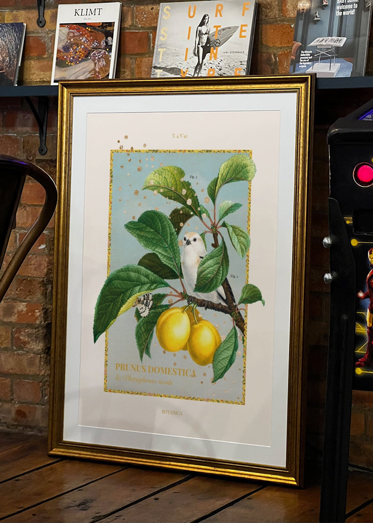 Botanica - yellow plum