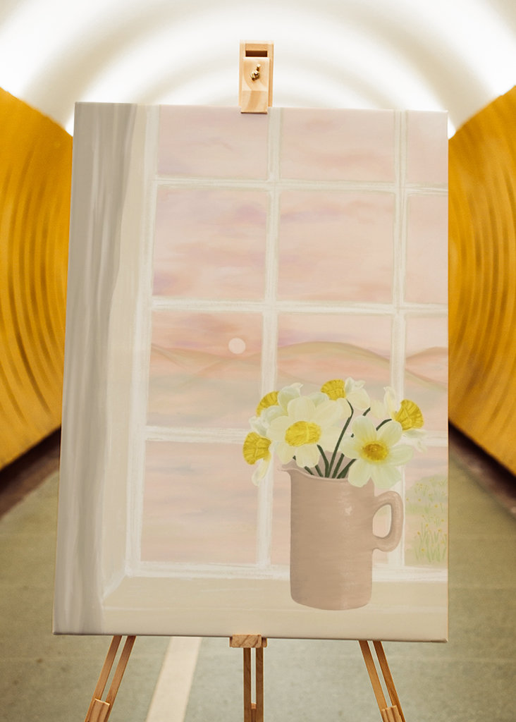 Morning glory daffodils