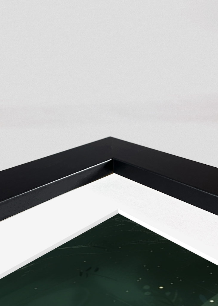 Dinosaur Adventure - Dino