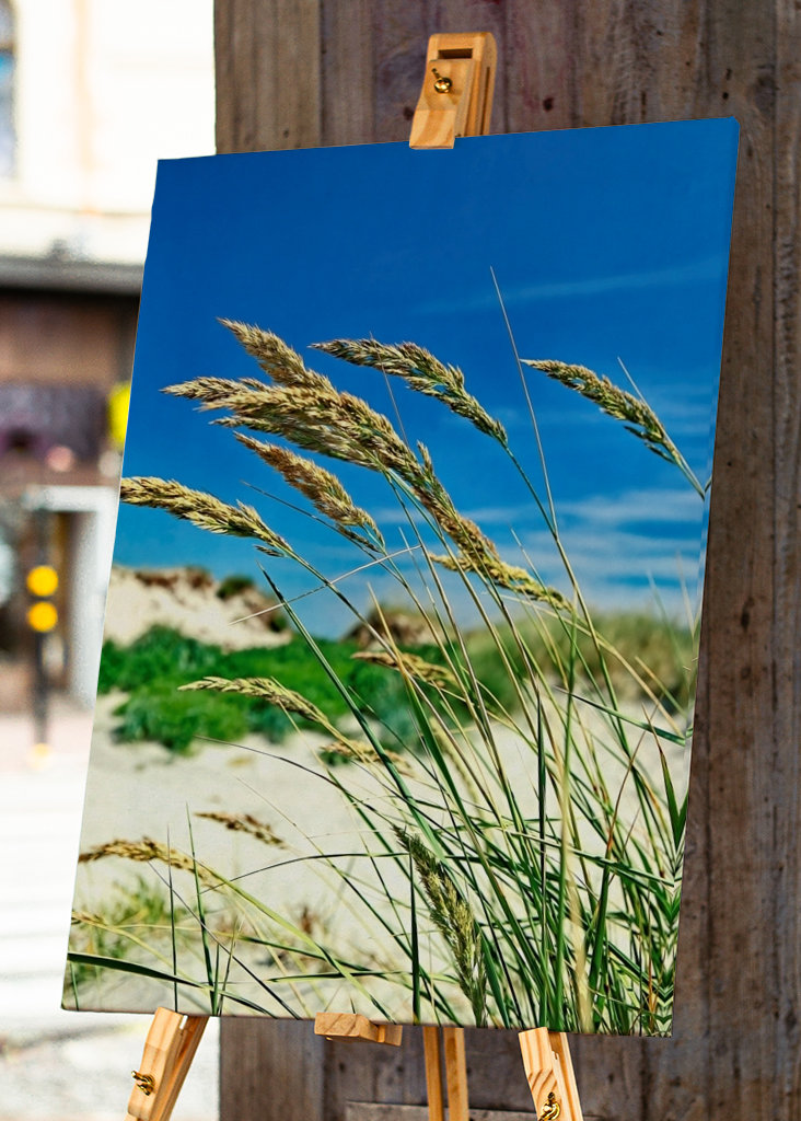 Pohupující se mořské řasy.