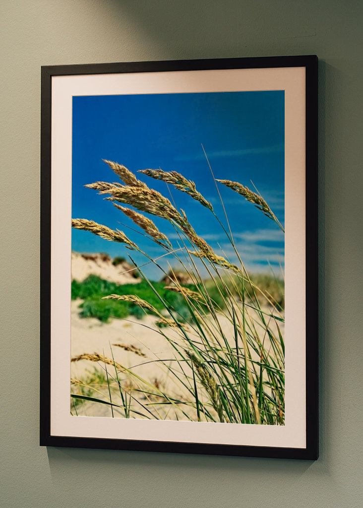 Pohupující se mořské řasy.