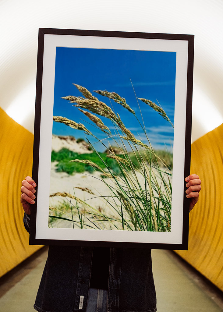 Pohupující se mořské řasy.