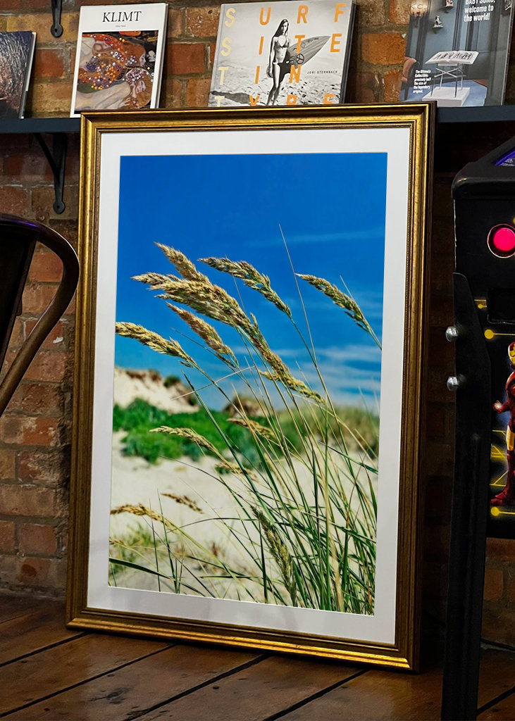 Pohupující se mořské řasy.