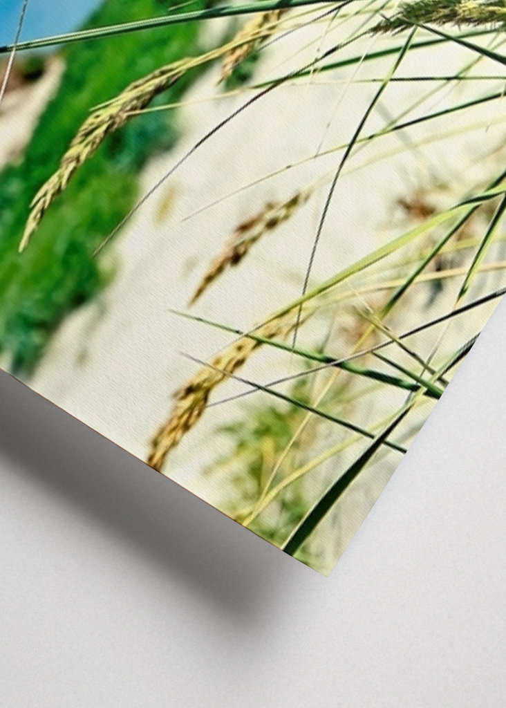 Pohupující se mořské řasy.