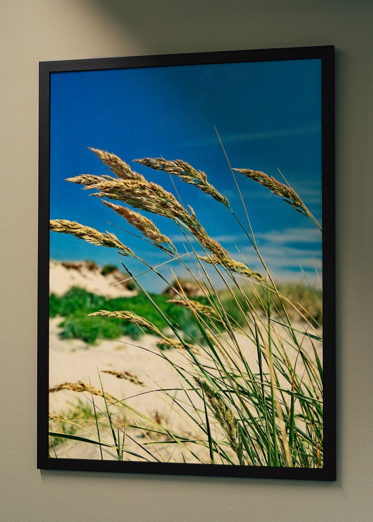 Pohupující se mořské řasy.