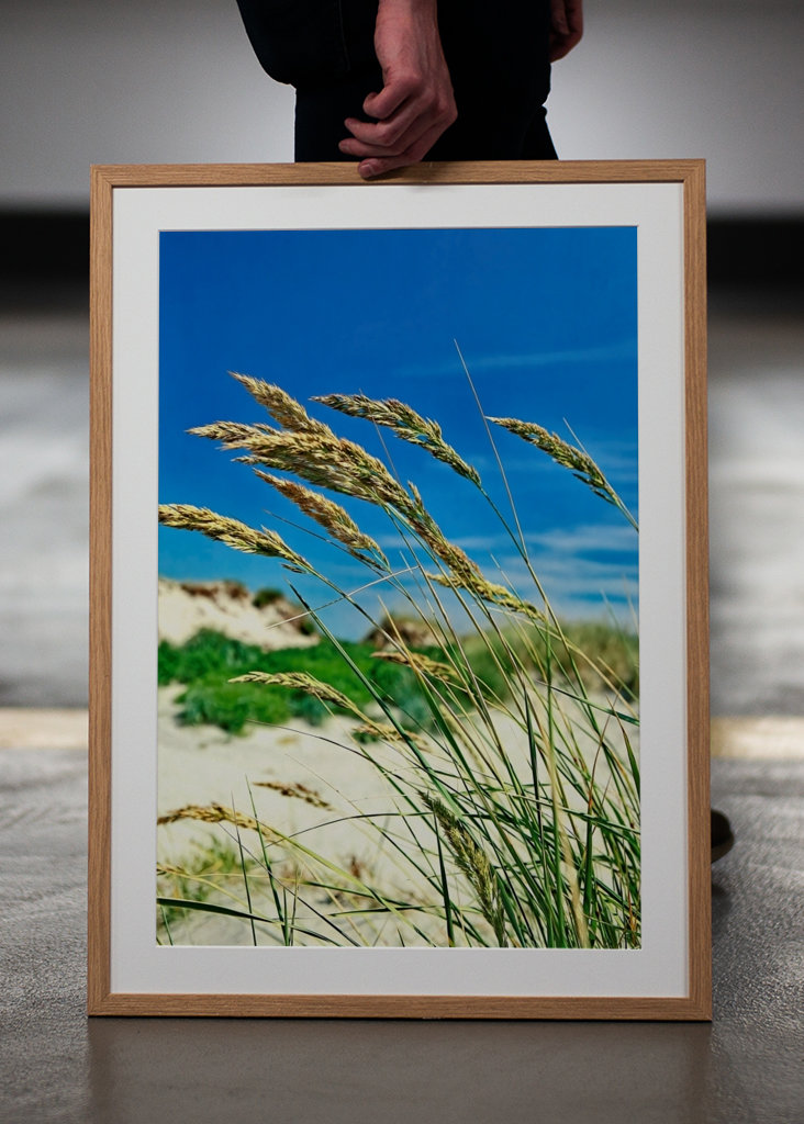 Pohupující se mořské řasy.