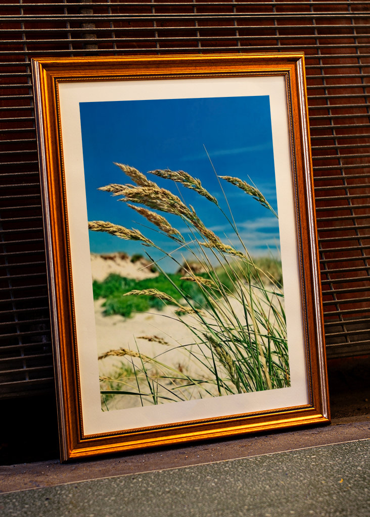 Pohupující se mořské řasy.