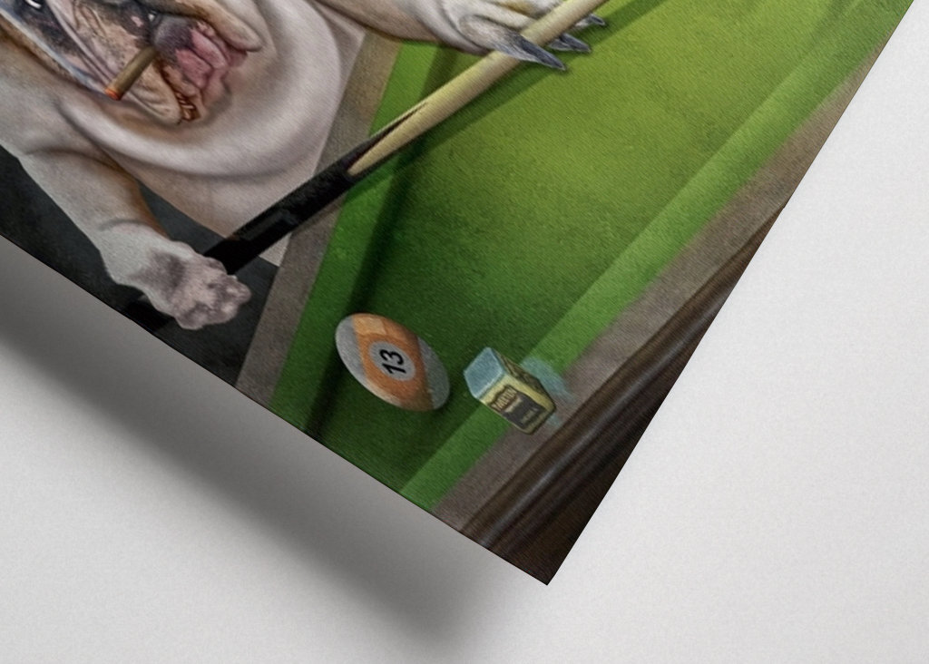 Cane che gioca a biliardo