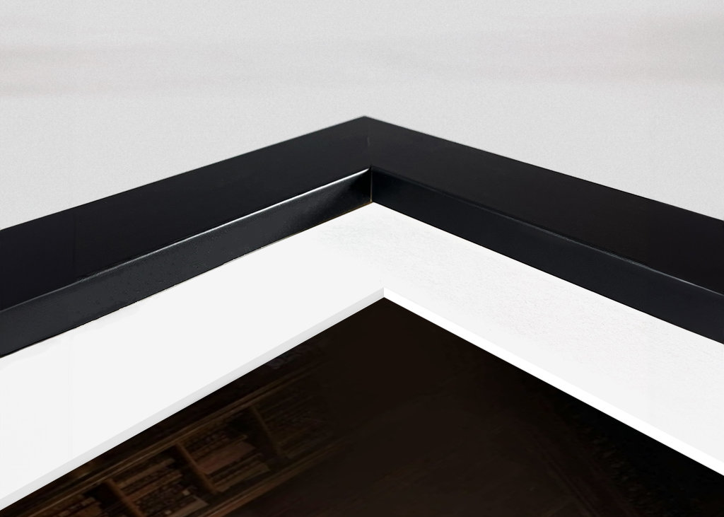 Cane divertente che gioca a biliardo