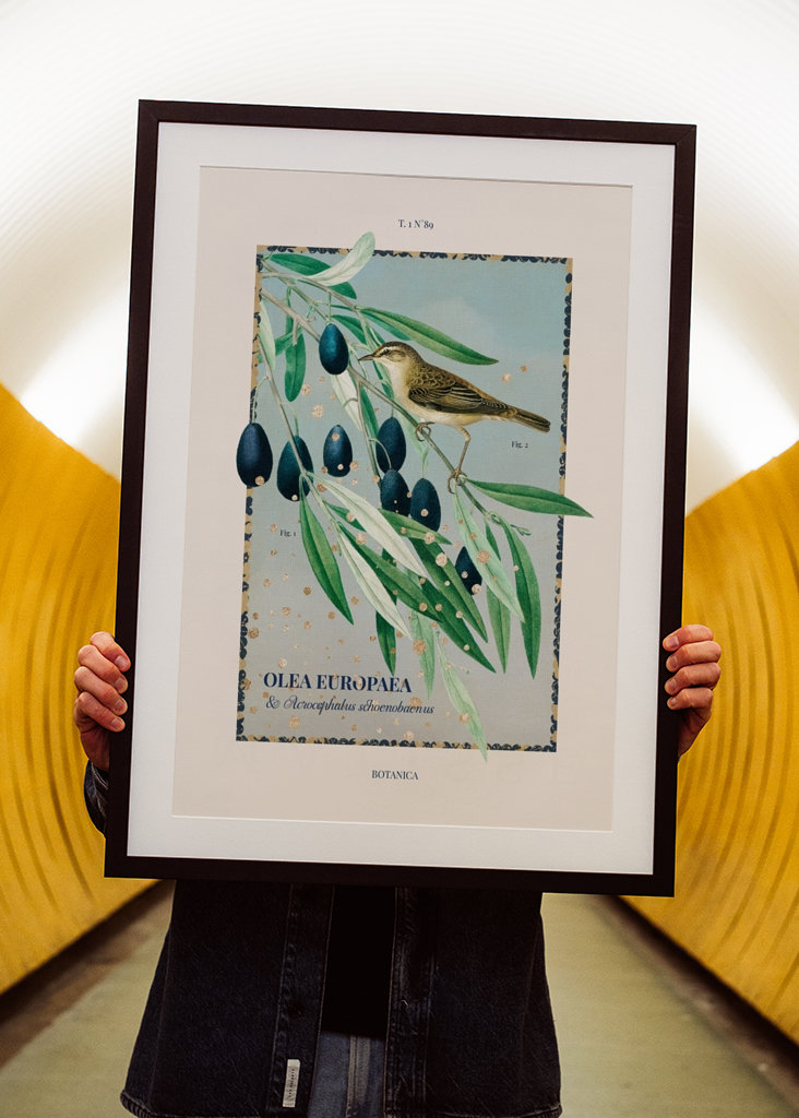 Botanica - Olive