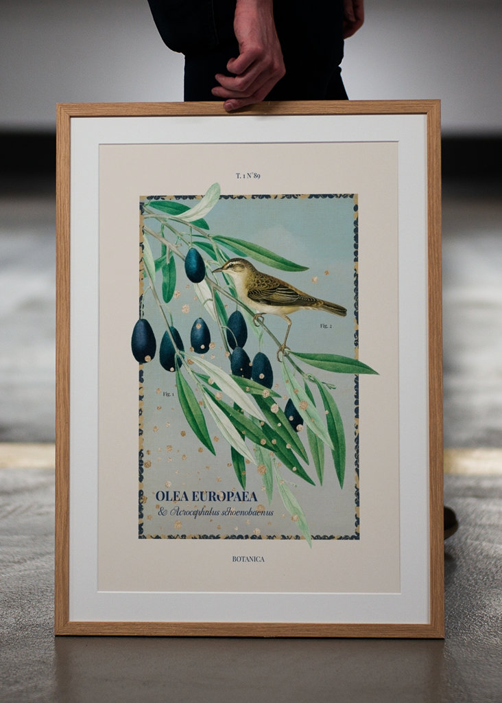 Botanica - Olive