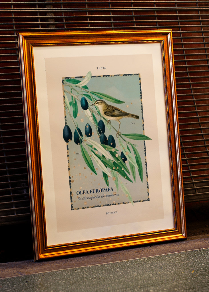 Botanica - Olive
