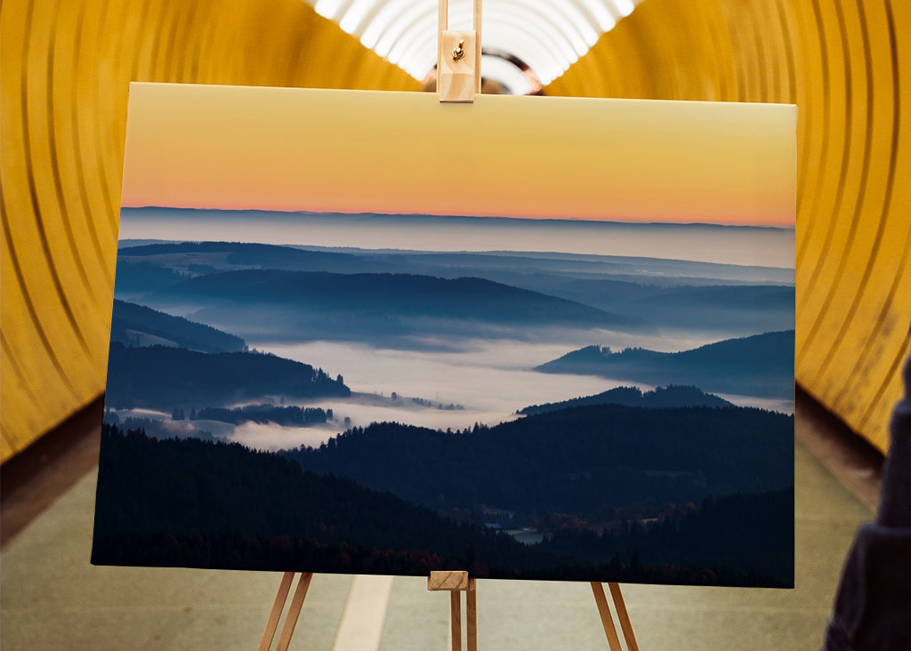 Morgennebel im Schwarzwald