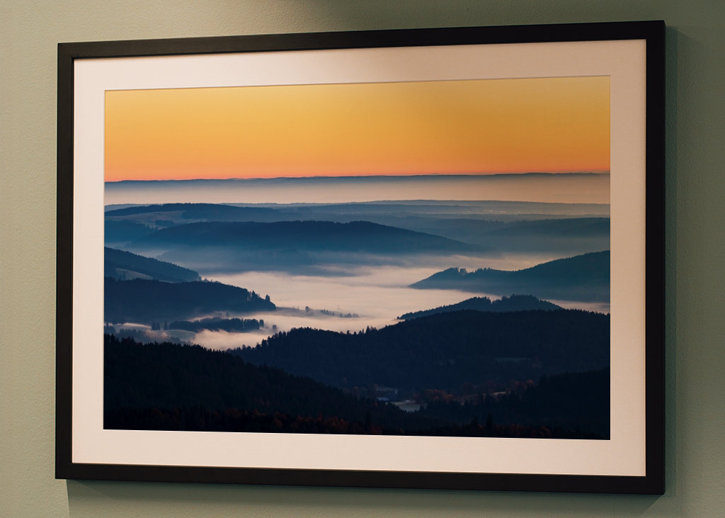 Morgennebel im Schwarzwald