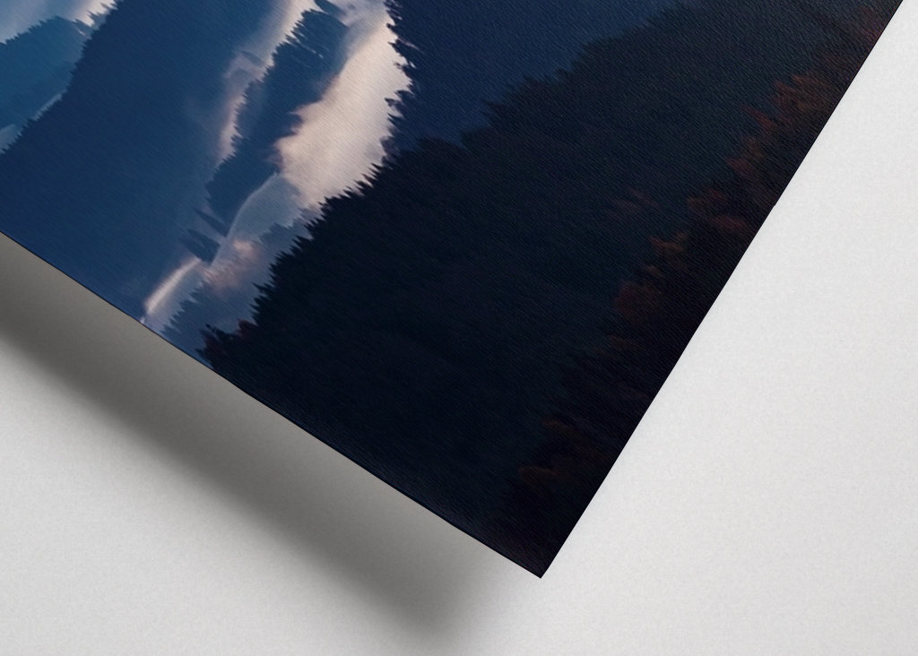 Morgennebel im Schwarzwald