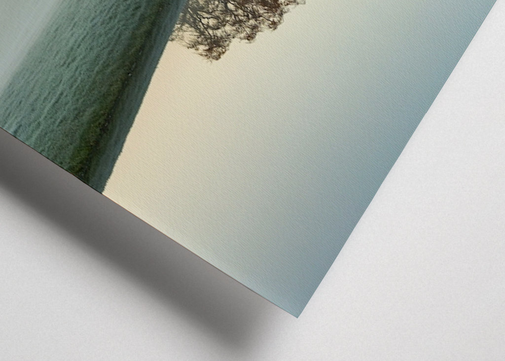 Ranní mlha v Almhöjdenu