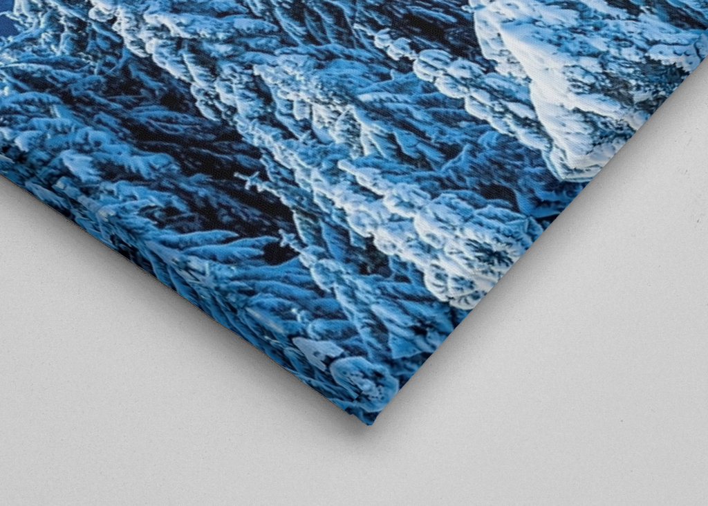 Winter in the Black Forest