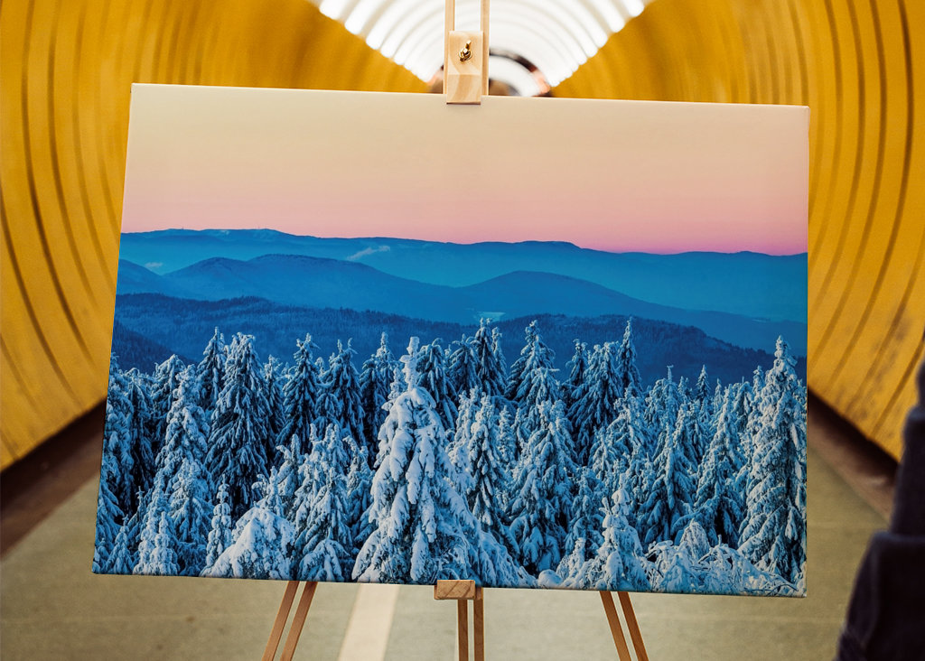 Winter in the Black Forest