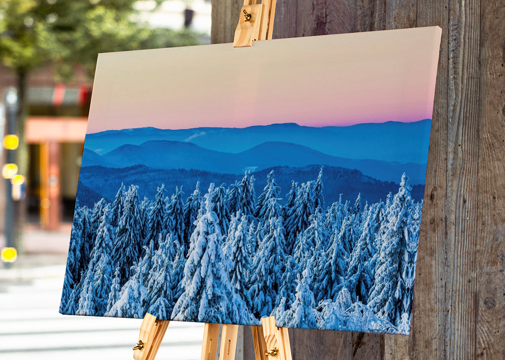Winter in the Black Forest