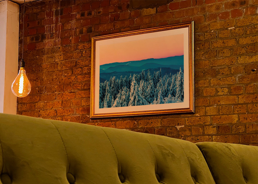 Winter in the Black Forest