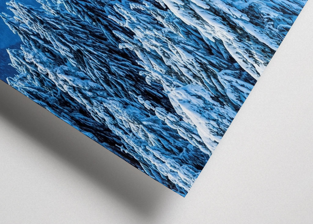 Winter in the Black Forest