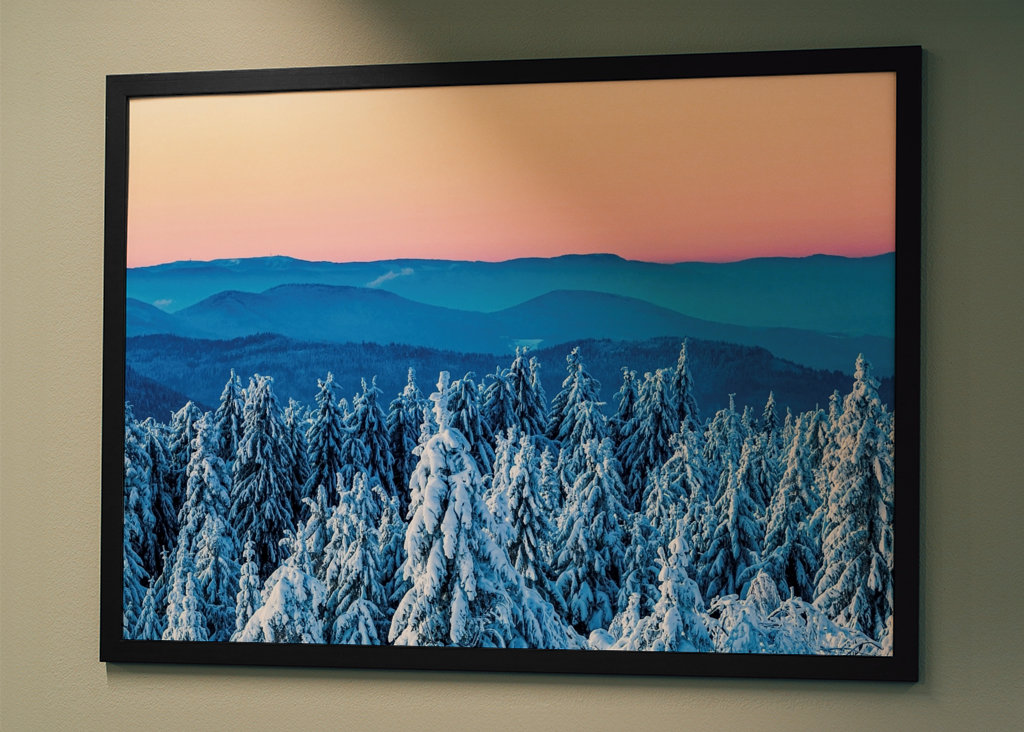 Winter in the Black Forest