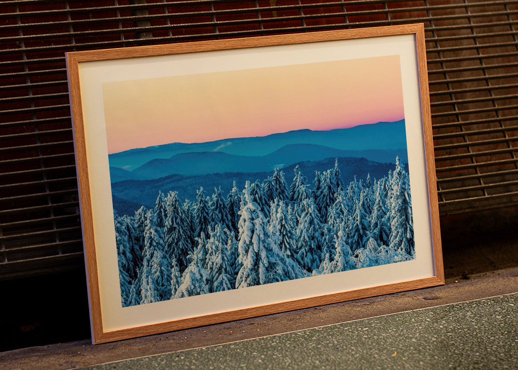 Winter in the Black Forest