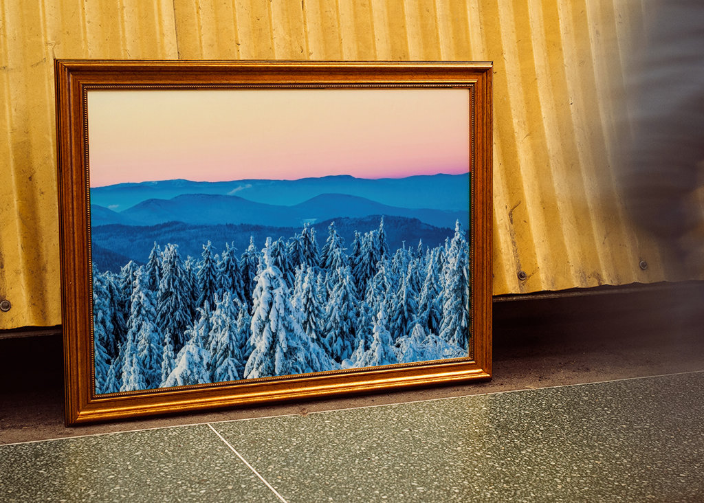 Winter in the Black Forest