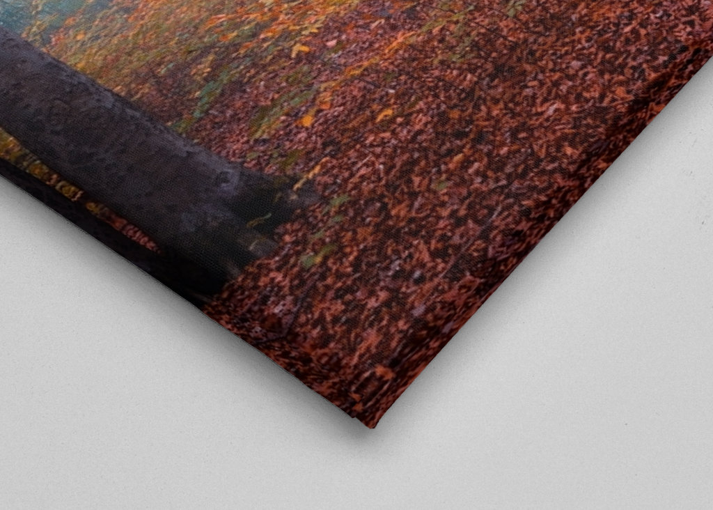 Spaziergang im Nebelwald