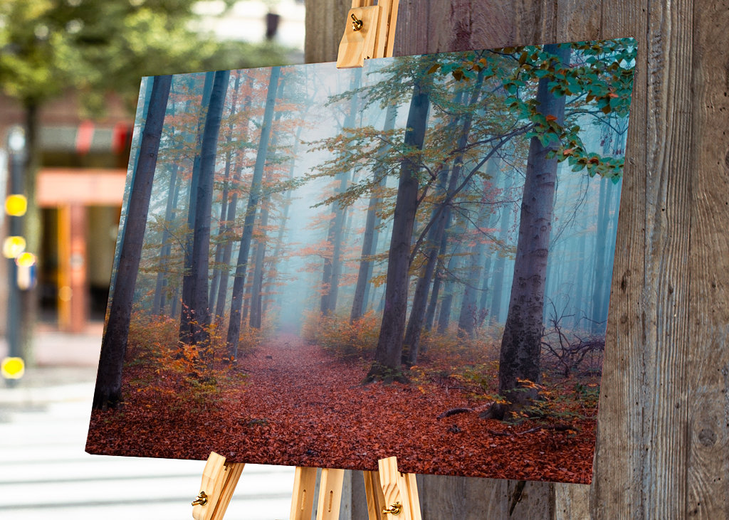 Spaziergang im Nebelwald