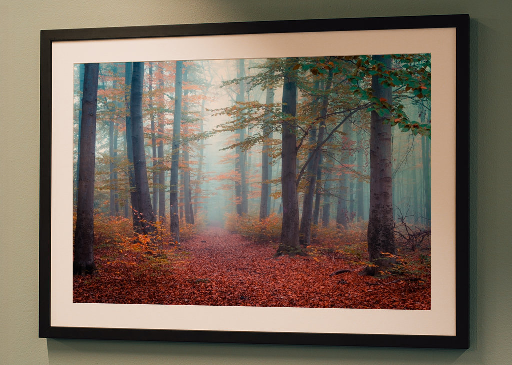 Spaziergang im Nebelwald