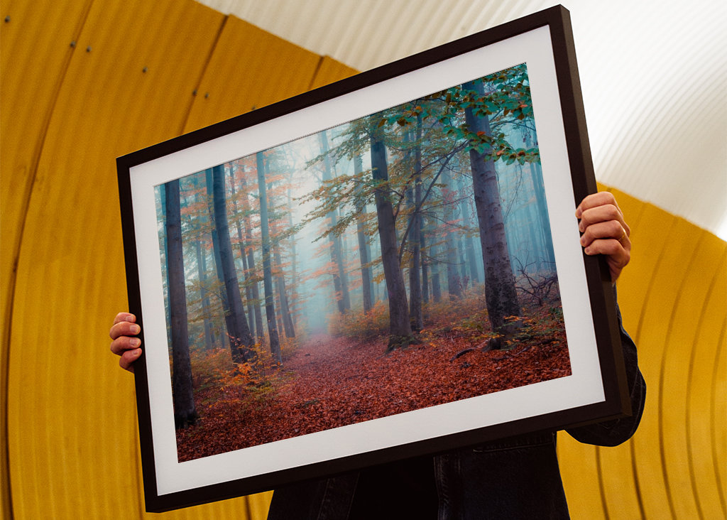 Spaziergang im Nebelwald
