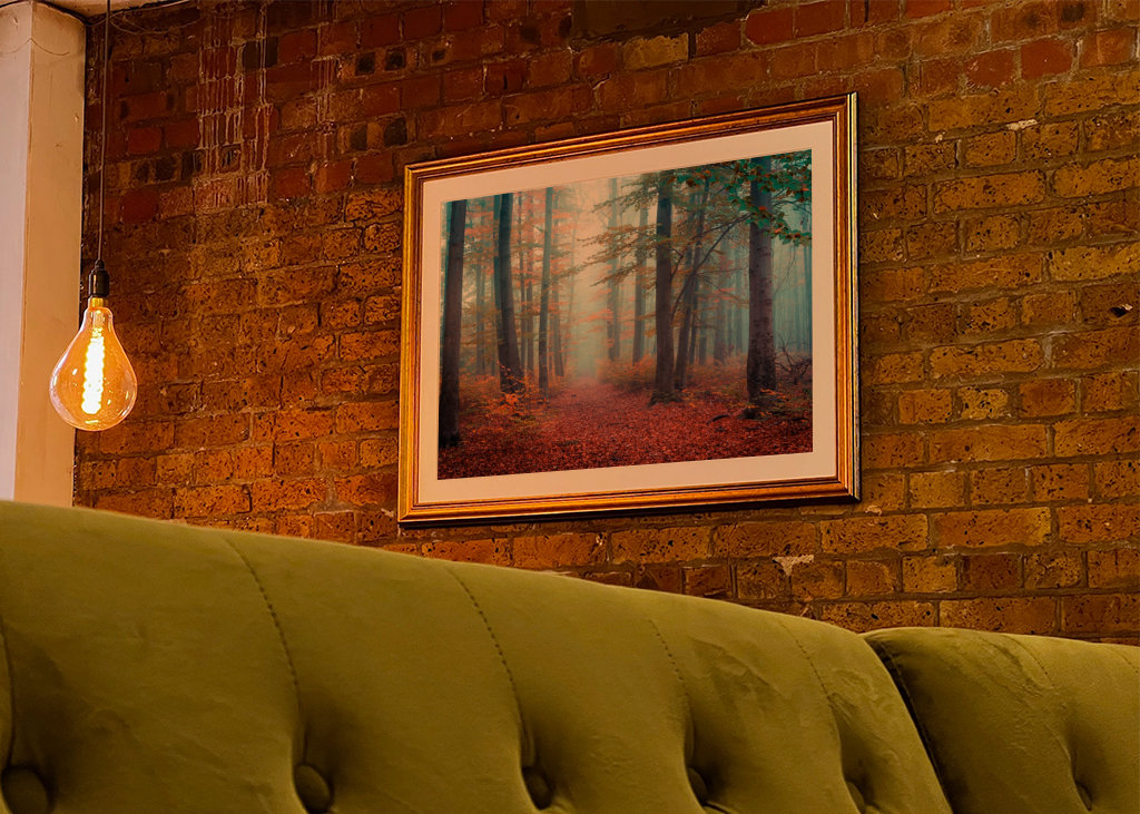 Spaziergang im Nebelwald