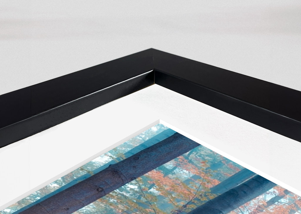 Spaziergang im Nebelwald