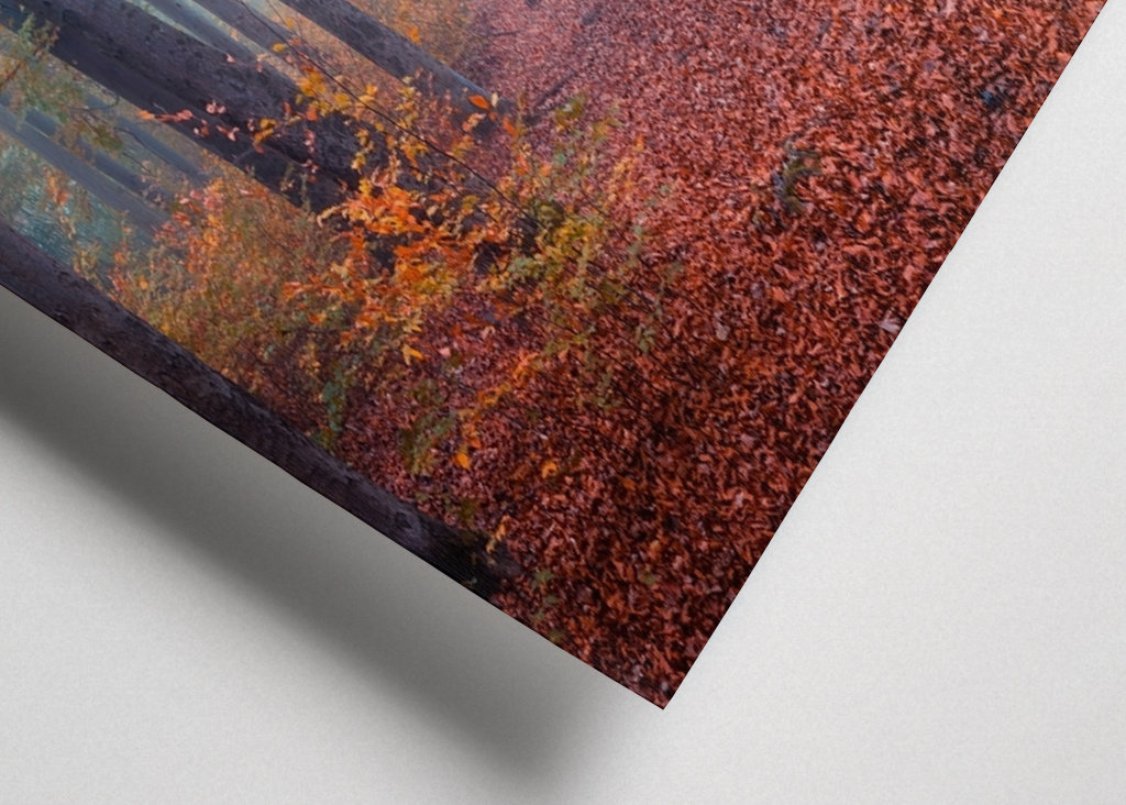 Spaziergang im Nebelwald