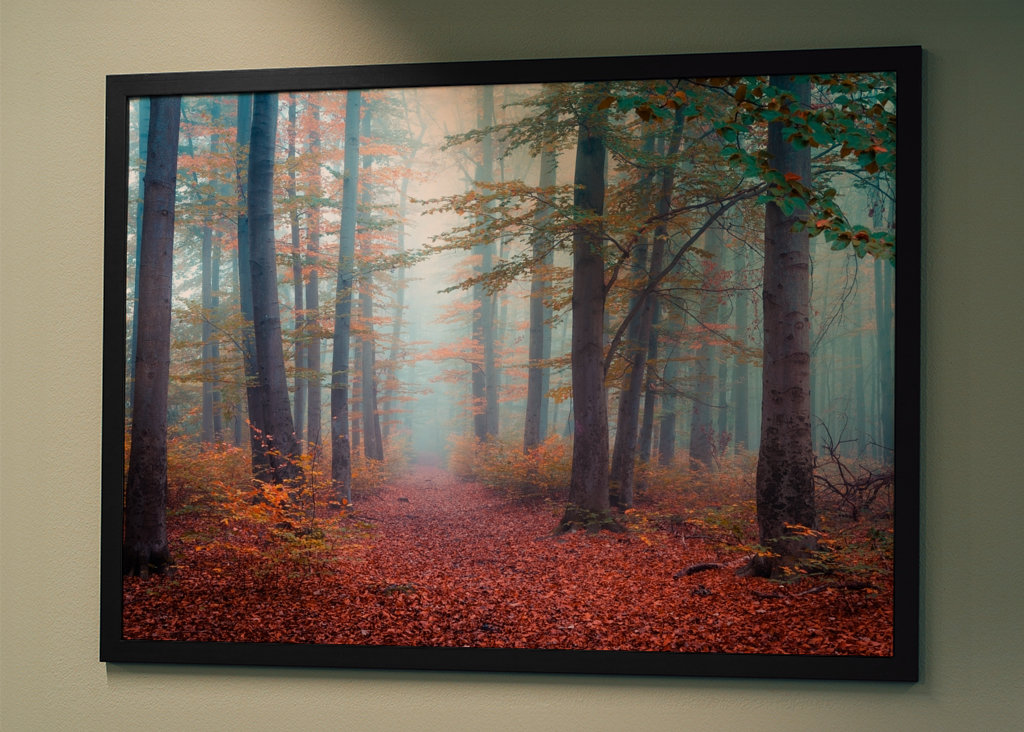Spaziergang im Nebelwald